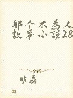 那个不为人知的故事小说28章免费阅读