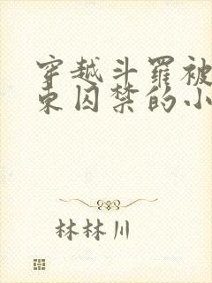 穿越斗罗被比比东囚禁的小说