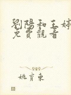 刘阳和王婷小说免费观看