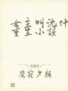 女主叫沈什么的重生小说