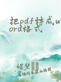 把pdf转成word格式