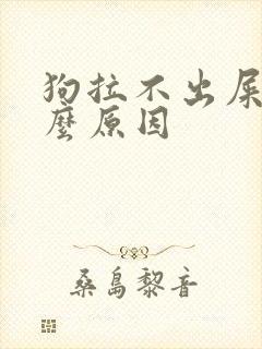 狗拉不出屎是什么原因
