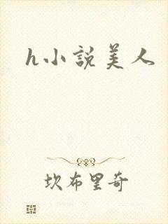 h小说美人