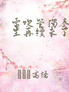 电吹管独奏曲来生再续未了情曲谱
