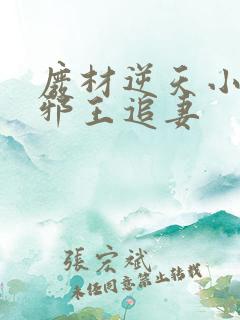 废材逆天小姐之邪王追妻