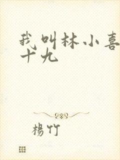 我叫林小喜今年十九