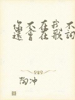 你不在我不在谁还会在歌词