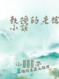 教授的老枪恋老小说