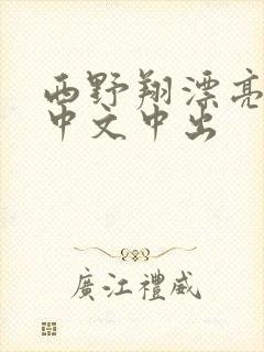 西野翔漂亮人妻中文中出
