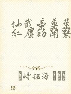 仙武帝尊叶辰和红尘的关系