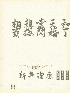 相亲当天和豪门霸总闪婚了