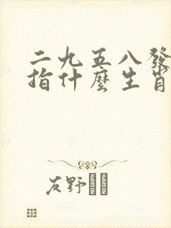 二九五八发大财指什么生肖