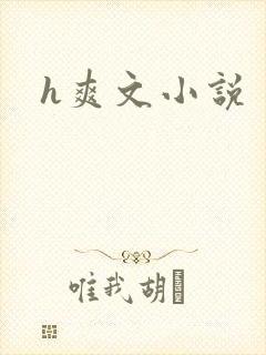 h爽文小说