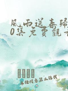 风雨送春归第40集免费观看电视剧