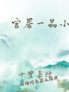 官居一品小说