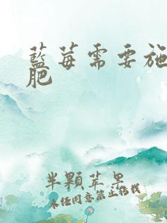 蓝莓需要施什么肥