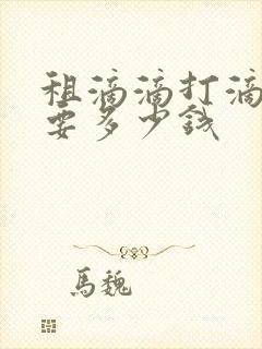 租滴滴打滴车需要多少钱