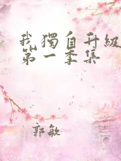 我独自升级动漫第一季集