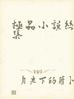 极品小说丝袜合集