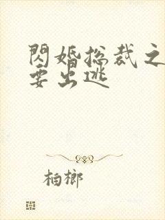 闪婚总裁之甜妻要出逃