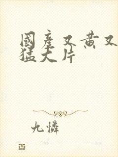 国产又黄又粗又猛大片