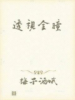 透视金瞳