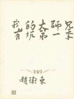 我的大师兄脑子有坑第一季免费观看