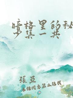 暗格里的秘密多少集一共