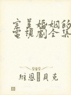 完美婚姻的定式电视剧全集免费观看