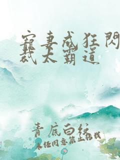 宠妻成狂闪婚总裁太霸道