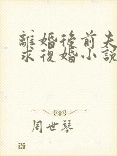 离婚后前夫哭着求复婚小说免费版