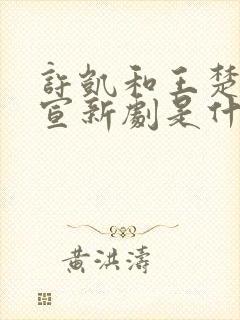 许凯和王楚然官宣新剧是什么