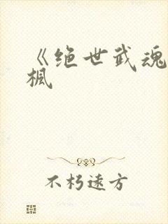 《绝世武魂》陈枫
