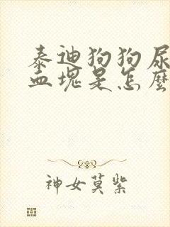 泰迪狗狗尿里有血块是怎么回事