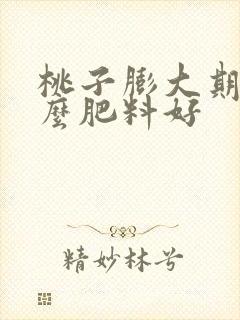 桃子膨大期用什么肥料好
