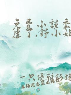 免费小说季总别虐了,舒小姐已嫁人