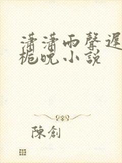 潇潇雨声迟 孟栀晚小说