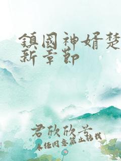 镇国神婿楚尘最新章节