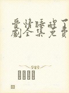 爱情睡醒了电视剧全集免费观看