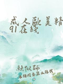 成人欧美精品大91在线