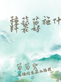 种蒜苗施什么肥料最好