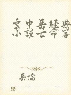 云中岳经典武侠小说亡命客