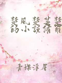 楚风楚芸楚鸿飞的小说修罗武神