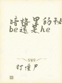 暗格里的秘密是be还是he