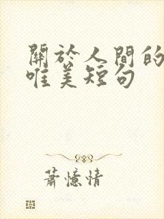 关于人间的句子唯美短句