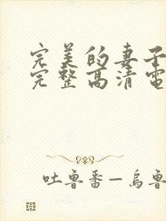 完美的妻子免费完整高清电视剧在线看