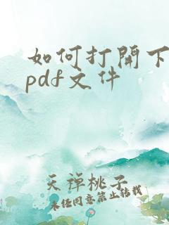 如何打开下载的pdf文件