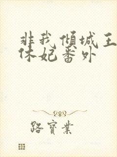 非我倾城王爷要休妃番外