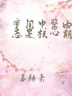 实用中医内科杂志是核心期刊吗