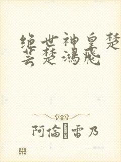 绝世神皇楚风楚芸楚鸿飞